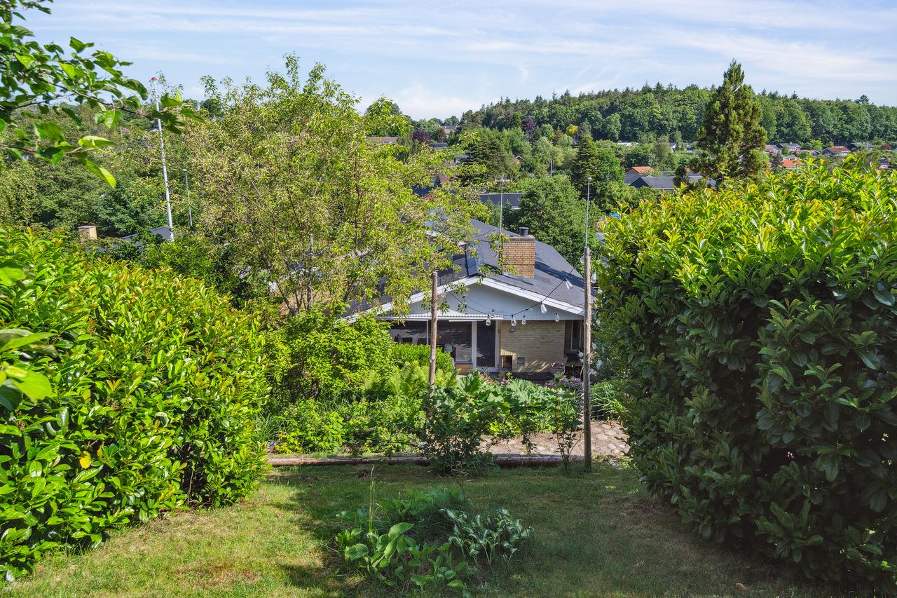 image 01