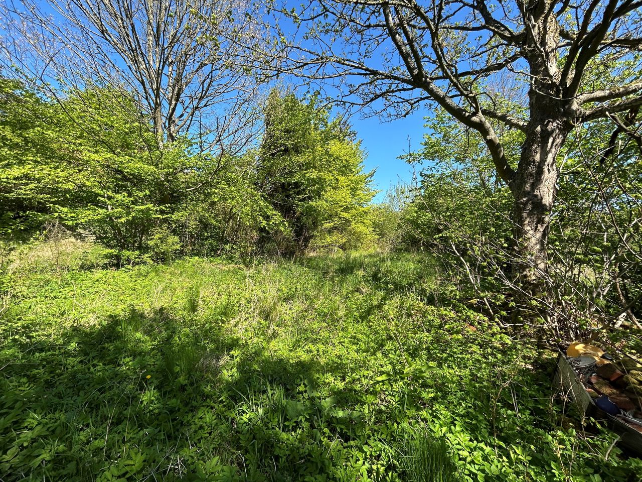 image 03